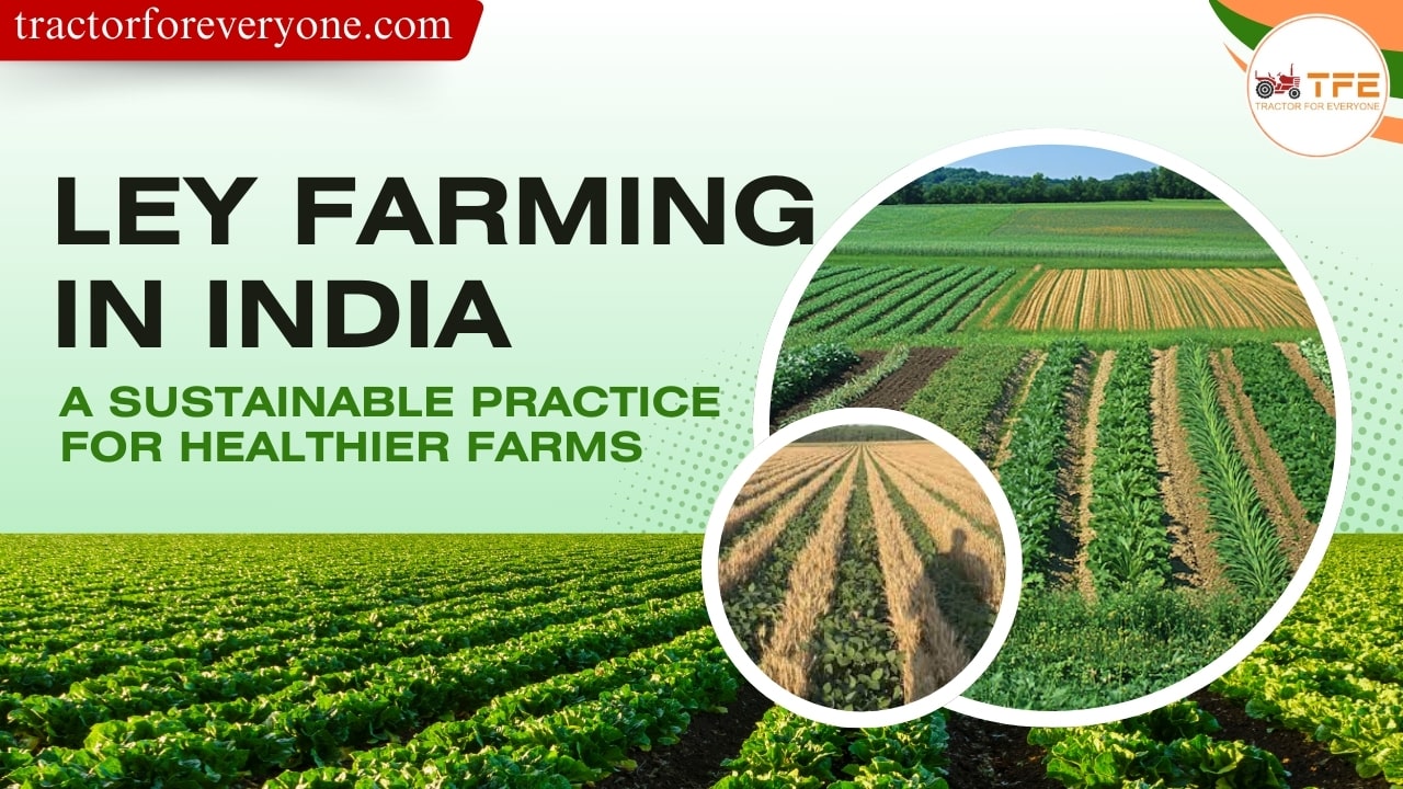 https://www.tractorforeveryone.com/uploads/blog/1733578793_Ley_Farming_in_India.jpg