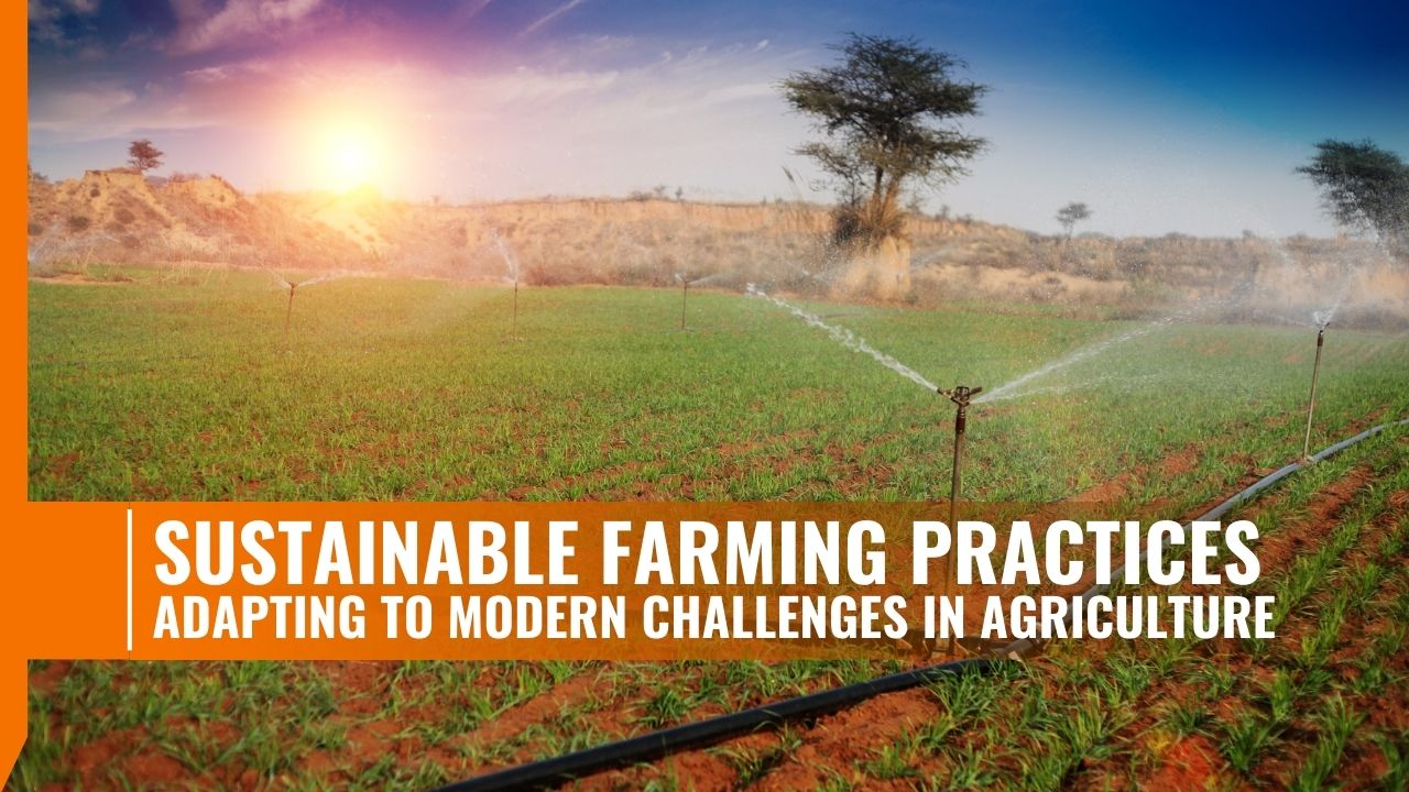 https://www.tractorforeveryone.com/uploads/blog/1734076850_Sustainable_Farming_Practices_Adapting_to_Modern_Challenges_in_Agriculture.jpg