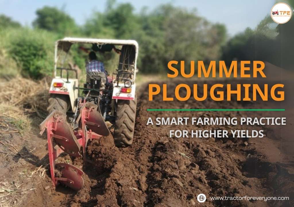 https://www.tractorforeveryone.com/uploads/blog/1743659610_Summer_Ploughing.jpg