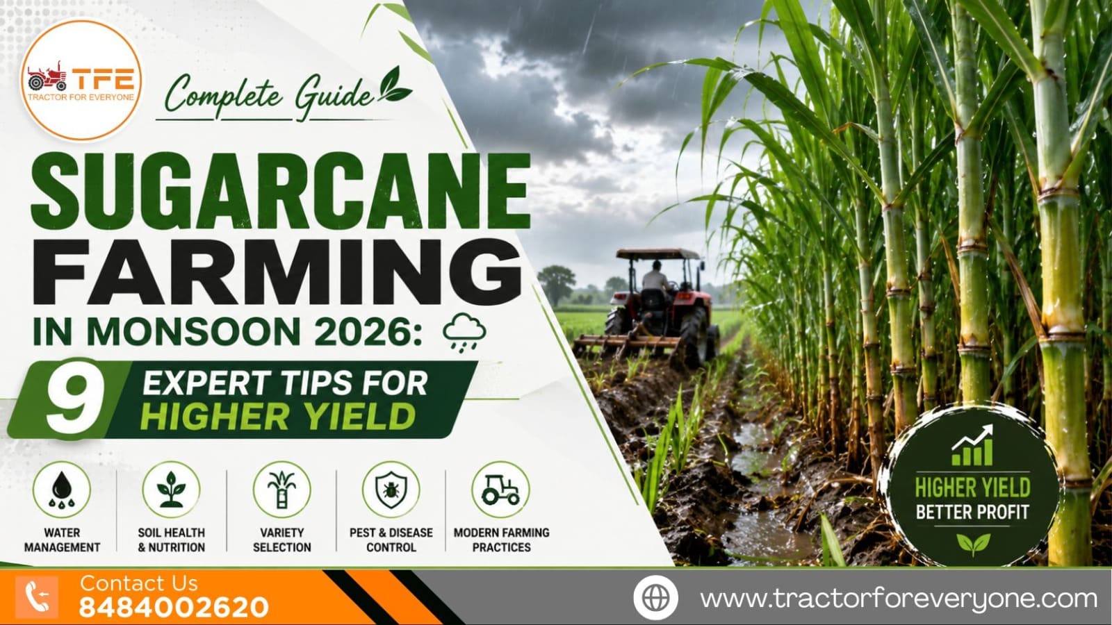 Sugarcane Farming in Monsoon 2026: 9 Expert Tips for Higher Yield