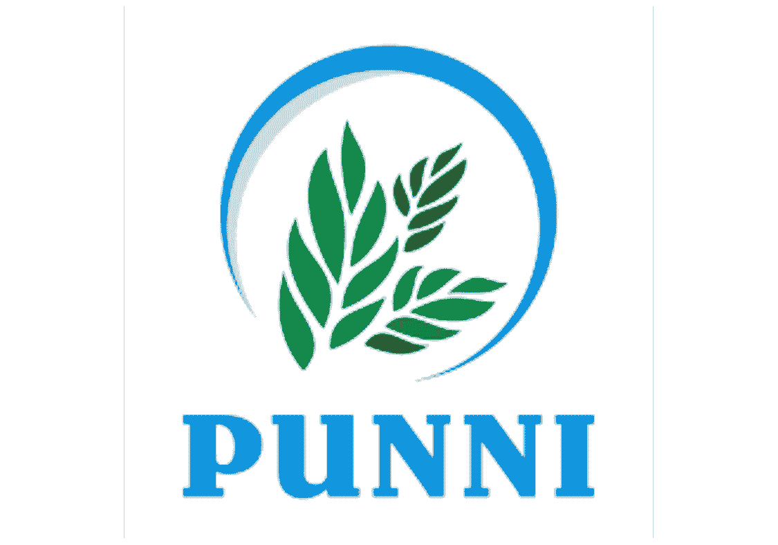 Punni