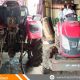 Massey Ferguson 6028 4WD Tractor 2018