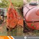 Kubota MU 4501 2WD Tractor 2020 with All Implements 